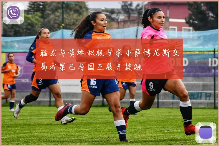 猛龙与黄蜂积极寻求小萨博尼斯交易方案已与国王展开接触