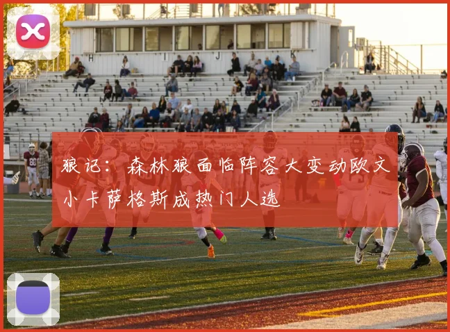 狼记：森林狼面临阵容大变动欧文小卡萨格斯成热门人选